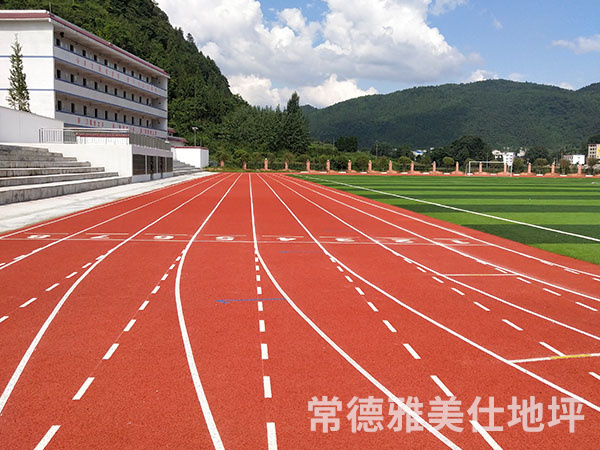 銅仁中學塑膠跑道、草坪